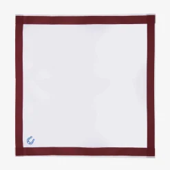 Hot X Schostal Handkerchief With Ferro Di Cavallo Embroidery For Men